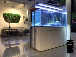 Tienda de acuariofilia en Sevilla