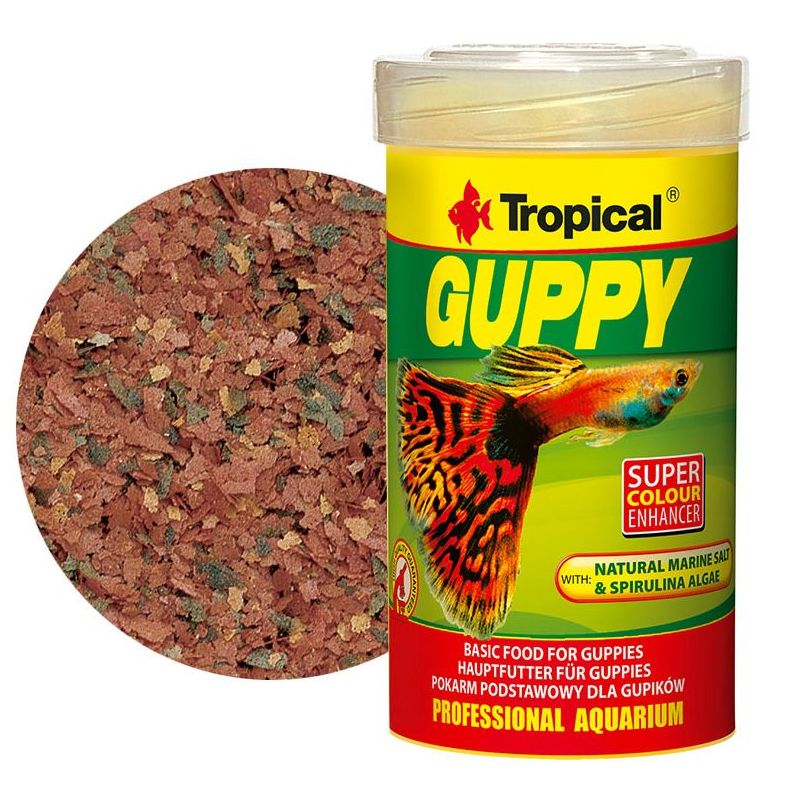 Tropical Guppy comida para estos peces