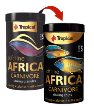 comida peces africanos