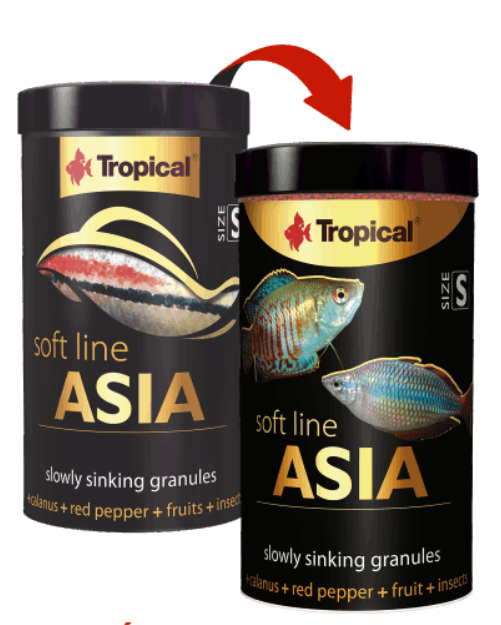 peces asia